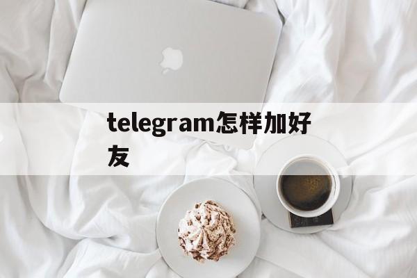 telegram怎样加好友、telegram怎么扫一扫加人