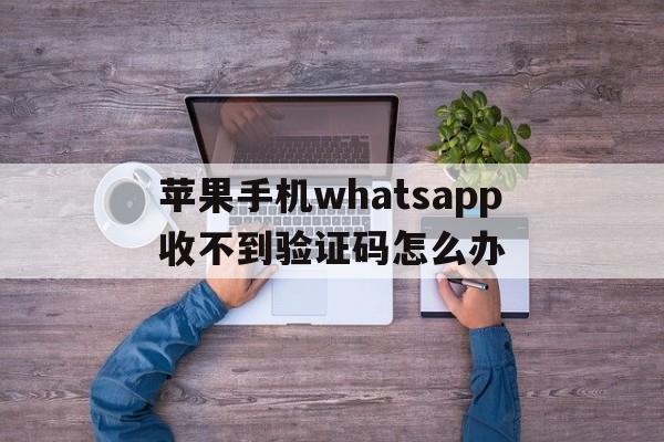 包含苹果手机whatsapp收不到验证码怎么办的词条