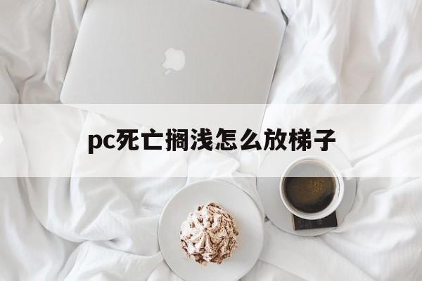 包含pc死亡搁浅怎么放梯子的词条