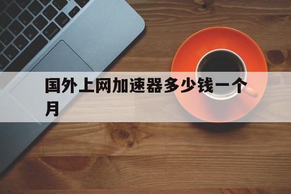 国外上网加速器多少钱一个月、国外上网加速器多少钱一个月免费