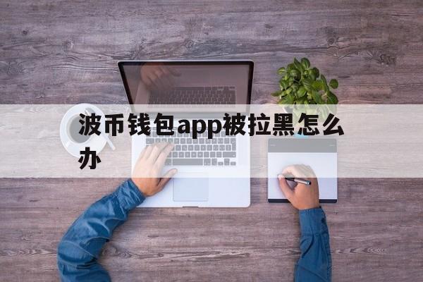 波币钱包app被拉黑怎么办、波币钱包app被拉黑怎么办啊