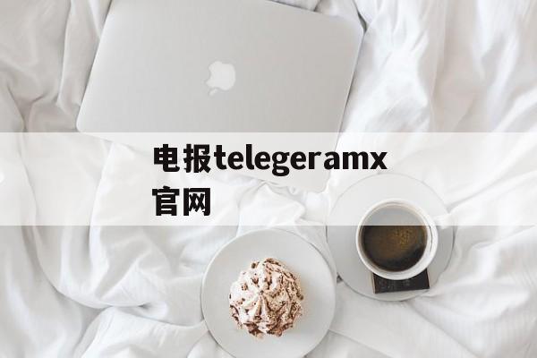 电报telegeramx官网、telegram网页版登录入口