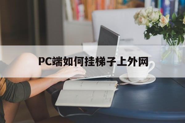 包含PC端如何挂梯子上外网的词条