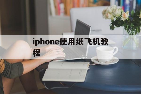 iphone使用纸飞机教程、苹果手机纸飞机软件怎么弄成中文版的