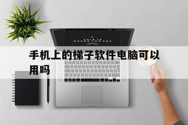 手机上的梯子软件电脑可以用吗、手机上的梯子软件电脑可以用吗安全吗