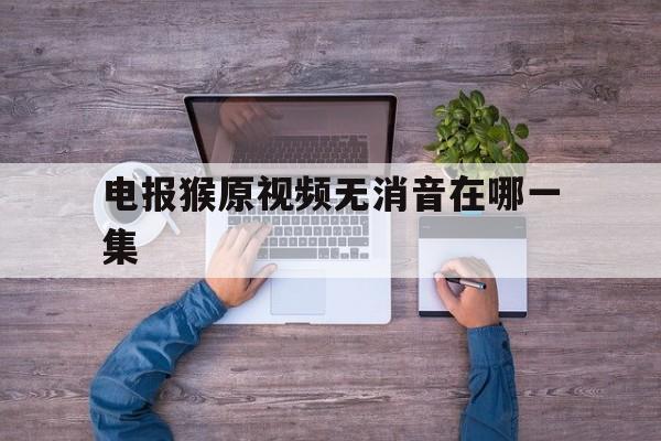 关于电报猴原视频无消音在哪一集的信息