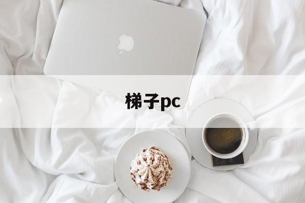 梯子pc、梯子品牌排行榜前十名