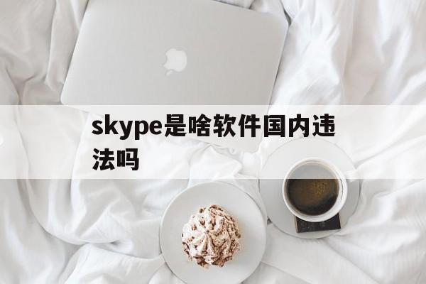 skype是啥软件国内违法吗、skype是什么软件在中国可以用吗