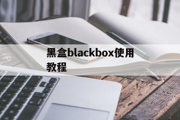 黑盒blackbox使用教程、blackbox虚拟位置怎么用