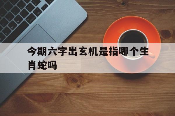 今期六字出玄机是指哪个生肖蛇吗、今期六字出玄机,特数出此不为奇是什么生肖